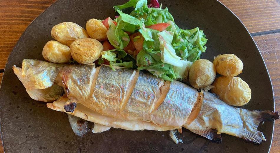 Olchowiec Ostoja Spokoju المظهر الخارجي الصورة